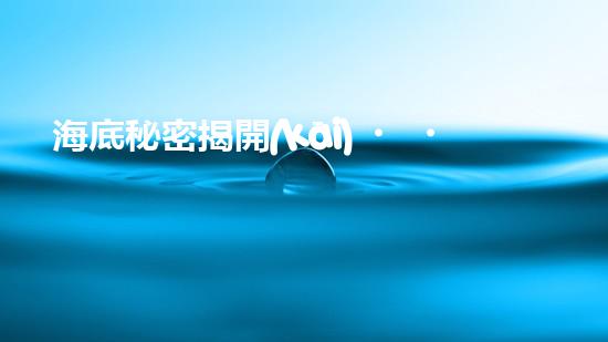 海底秘密揭開(kāi)！水下清潔機(jī)器人廠家揭示全新科技突破？